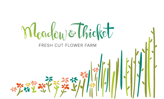meadowandthicketfarmflowers