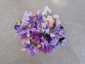 Single Bouquet: Sweetest Sweetpeas  Available Starting July 15, 2023